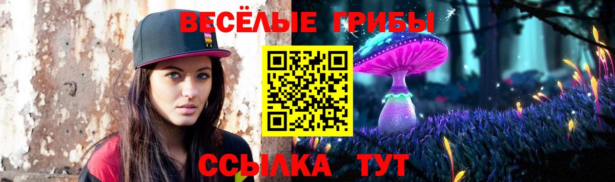 Котлас  Псилоцибиновые грибы ЛСД  Галлюциногенные грибы Psilocybe  Вход с VPN 